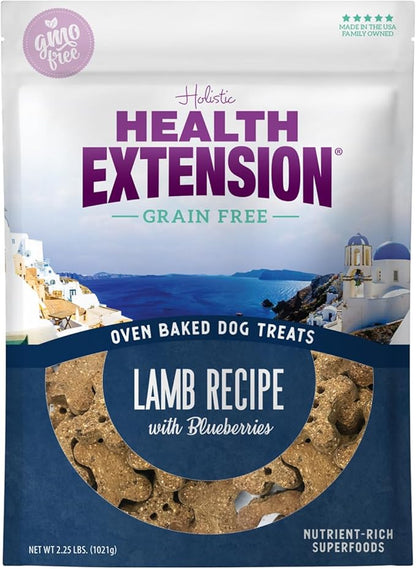 Health Extension Oven-Baked Dog Treats, 6oz (170g), Lamb & Blueberry Recipe  Gluten & Grain-Free, Superfood-Infused, Crunchy Biscuits for Puppy Training