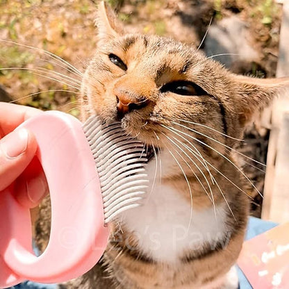 2 Pcs Cat Combs, Soft Fine Teeth Cat Hair Comb Pet Massage Comb, Short Long Hair Removal Massage Cat Shell Comb, Dog Cat Deshedding Brush Grooming Comb for Shedding Matted Fur, Knots & Tangles (pink)