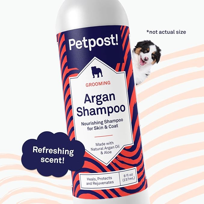 Petpost | Argan Shampoo for Dogs - Naturally Heals, Protects, & Rejuvenates Dog Dry Skin & Coat - Argan Oil and Aloe Formula 8 oz.