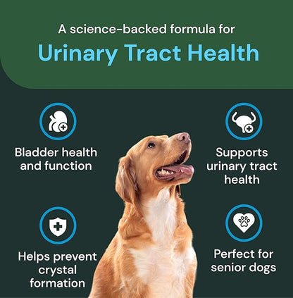 VETRISCIENCE Veterinary Strength UT Health Chews - Clinically Studied UT Support Supplement for Dogs - Supports Canine Urinary Health - Naturally Sourced - Features GanedenBC30-60 Count