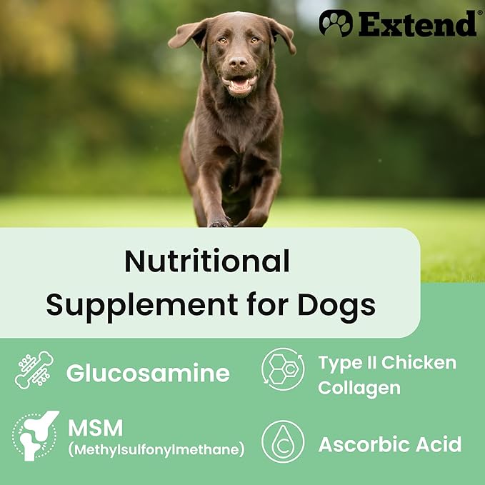 Extend Joint Care for Dogs - Hip and Joint Supplement Powder - Glucosamine for Dogs - Joint Pain Relief - MSM - Mobility & Flexibility Support - Advanced Joint Health - Made in USA