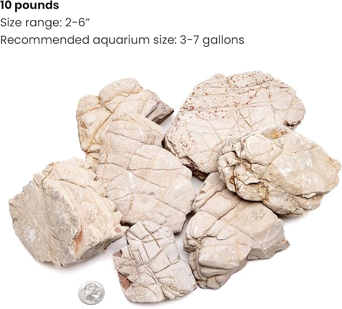SubstrateSource Natural Stone for Aquarium, Terrarium, Paludarium, Reptile Enclosures - Set of Decorative Rocks for Landcapes, Aquascaping, Fish Tank Decor (White Elephant Skin Stone, 10 Pounds, 2-7")