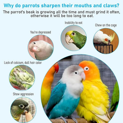 PINVNBY 3 Pack Parrot Toys Chewing Bird Toy Cuttlebone Beak Grinding Stone Cage Hanging Toys with Bell for African Greys Amazon Conure Eclectus Budgies Parakeet Cockatiel Hamster Chinchilla