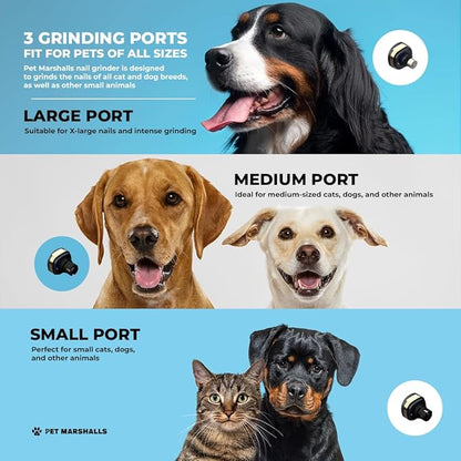 Electric Pet Nail Grinder Kit, 3 Speed Settings, 2000mAh Battery, LED Light, Dogs and Cats