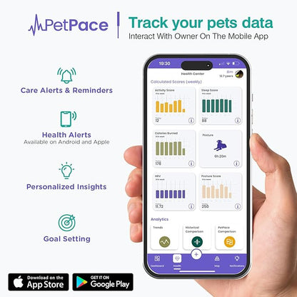 AI Health Monitor & GPS Tracker for Dogs | Track Heart Rate, Pain, Anxiety & Stress | Vet Backed, Near Real-Time Alerts & Monitoring | Subscription Required | PetPace Smart Collar 2.0 (Large)