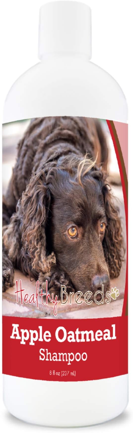 Healthy Breeds American Water Spaniel Apple Oatmeal Dog Shampoo - All Natural, Tearless & Hypoallergenic Cleanser & Conditioner - Best for Dry, Itchy or Irritated Skin - 8 oz