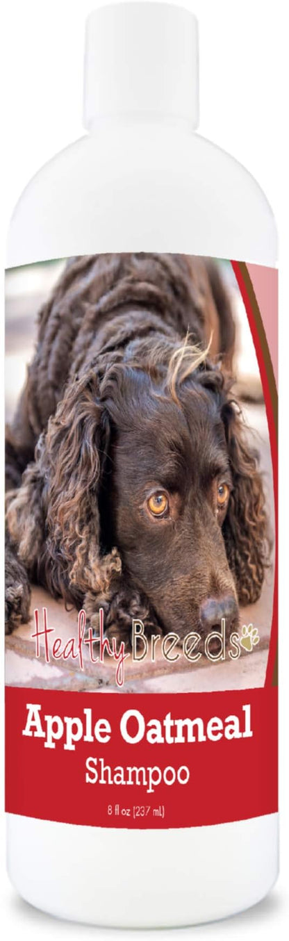 Healthy Breeds American Water Spaniel Apple Oatmeal Dog Shampoo - All Natural, Tearless & Hypoallergenic Cleanser & Conditioner - Best for Dry, Itchy or Irritated Skin - 8 oz