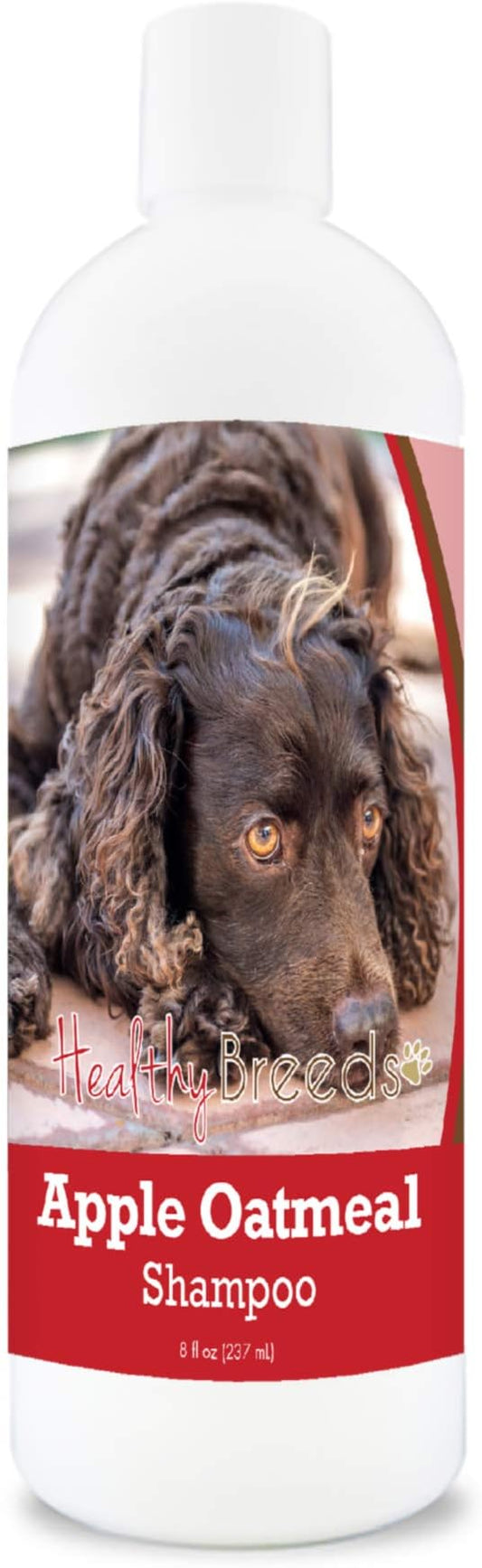 Healthy Breeds American Water Spaniel Apple Oatmeal Dog Shampoo - All Natural, Tearless & Hypoallergenic Cleanser & Conditioner - Best for Dry, Itchy or Irritated Skin - 8 oz