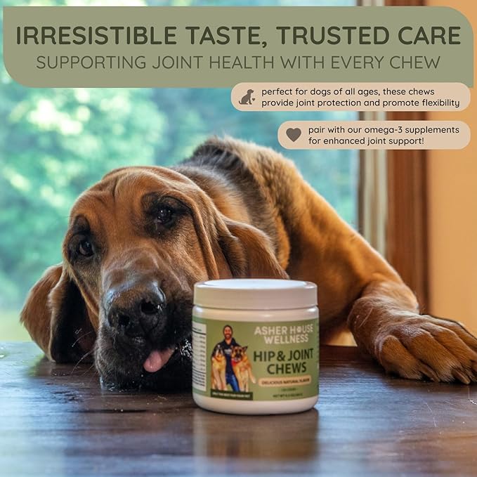 Asher House Wellness Hip and Joint Supplement for Dogs - Natural Soft Chew with MSM, Chondroitin, Glucosamine, Vitamins - Promotes Joint Health & Pain Relief Senior & All Dog Breeds, Large, 120 Chews