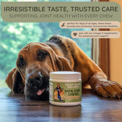 Asher House Wellness Hip and Joint Supplement for Dogs - Natural Soft Chew with MSM, Chondroitin, Glucosamine, Vitamins - Promotes Joint Health & Pain Relief Senior & All Dog Breeds, Large, 120 Chews
