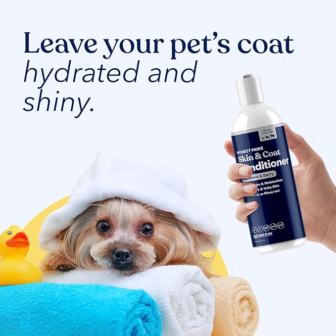 Honest Paws Dog Conditioner - Detangle & Moisturize - Premium Pet Conditioner for Itchy and Dry Skin - Hydrate Sensitive Skin - Shiny Coat Soft Hair Smooth Fur - Mandarin & Berry - 16oz