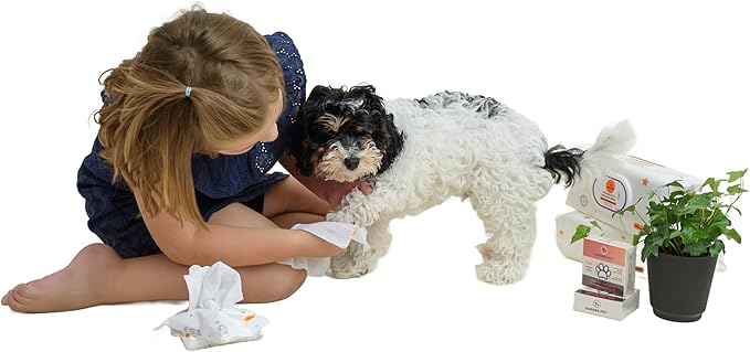 Aurora Pet Wipes – 100% Natural, Plant-Based Hypoallergenic Grooming Wipes for Dogs & Cats – Extra-Durable, Large & Thick for Effortless Cleaning (Combo, 200 Count)