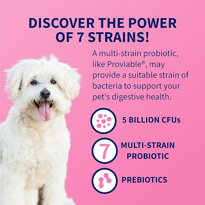 Nutramax Proviable Probiotics for Dogs and Cats, Daily Digestive Health Supplement with Multiple Strains of Bacteria, Cat and Dog Probiotics Plus Prebiotics, 30 Capsules