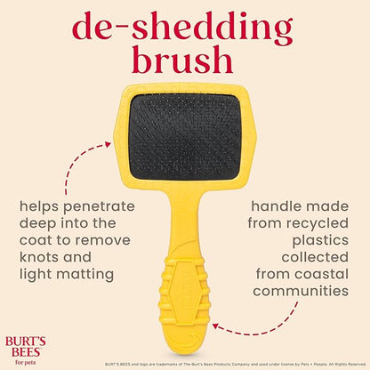 Burt_ Bees for Pets Small Slicker Brush for Dogs with Thick or Curly Hair with Handle Made from Recycled Plastics Collected from Coastal Communities | De-Shedding Dog Brush Removes Knots and Matting