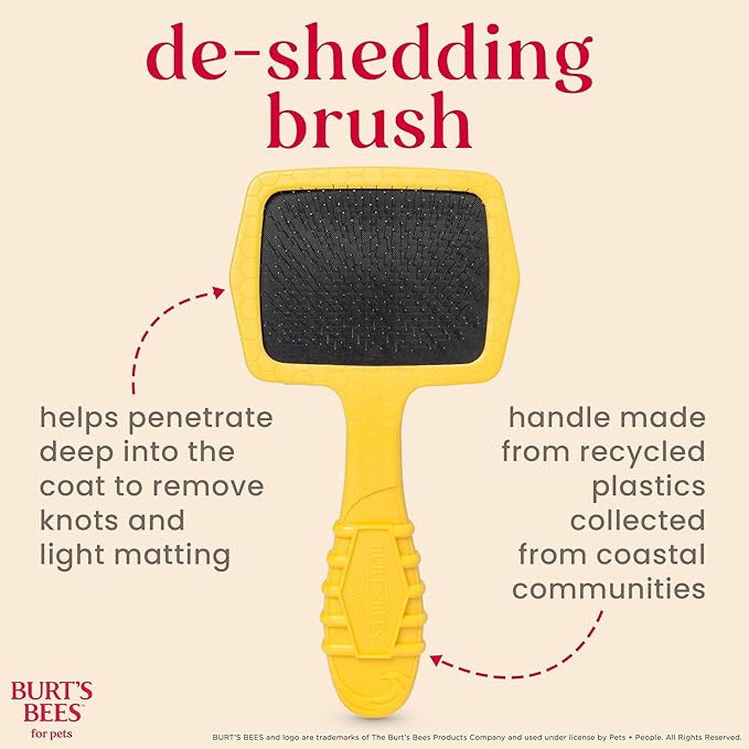 Burt_ Bees for Pets Small Slicker Brush for Dogs with Thick or Curly Hair with Handle Made from Recycled Plastics Collected from Coastal Communities | De-Shedding Dog Brush Removes Knots and Matting