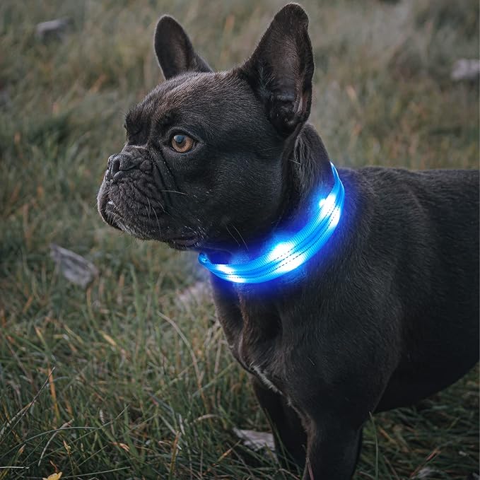 BSEEN Light Up Dog Collars - Glowing LED Dog Collar, Reflective Puppy Collar, Adjustable Lighted Dog Collar, Rechargeable Pet Collar for Night Walking (Blue, Medium)