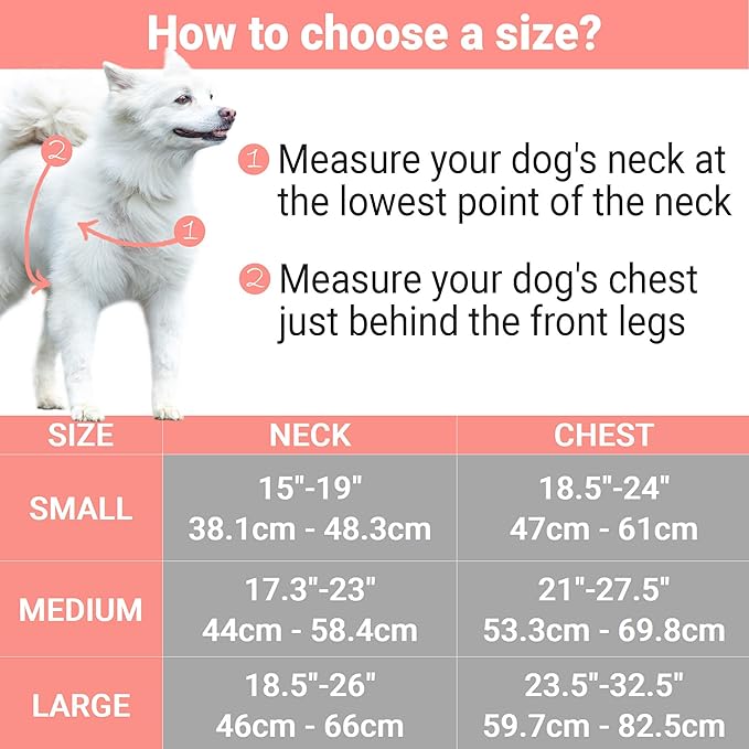 Pettsie No-Pull Dog Harness Reflective, 4 Adjustable Straps, Easy Control with 2 Leash Clips for Walking or Training, Matching Friendship Bracelet, Soft and Durable Hemp for Sensitive Skin, Gift Box