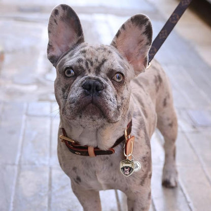 Dog Tags Personalized QR Code Dog Tags, Retro Brass Personalized Pet ID Tags Modifiable Pet Online Profile, Multiple Emergency Contact, (French Bulldog-1)