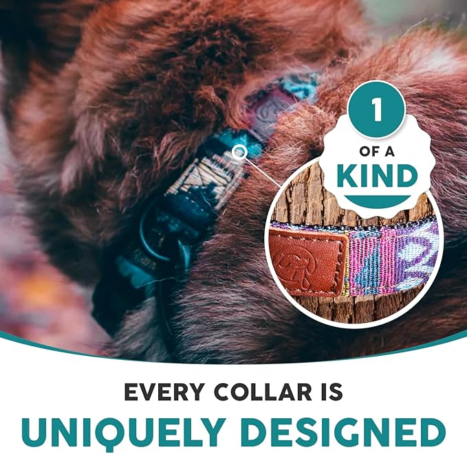 Embark Urban Dog Collar  Dog Collar Stylish & Durable Nylon Dog Collar for Large Dogs, Small Dogs & Medium Dogs.Comfortable Pet Collar Strong Buckles for Any Size Breed (Azure, Medium)