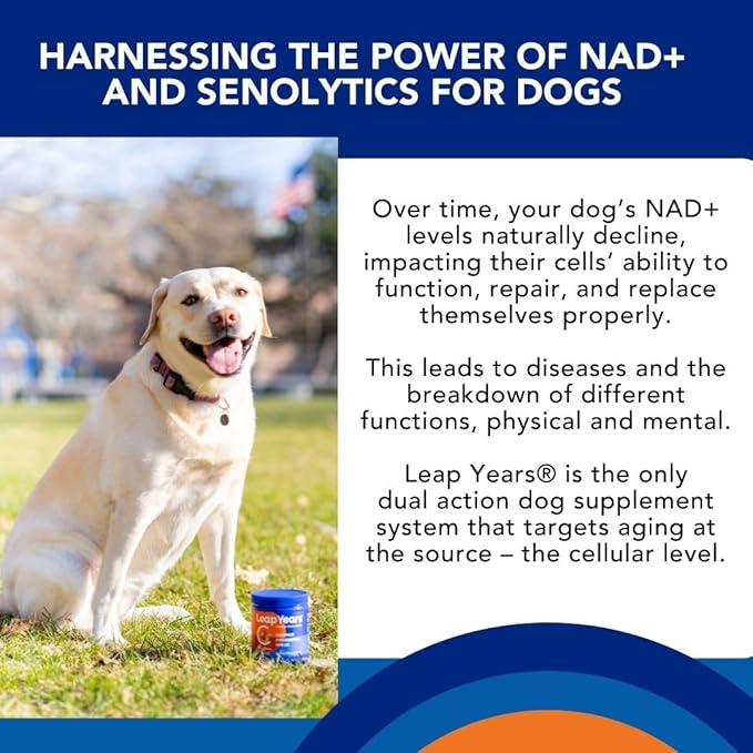 Soft Chew - Dog Supplement for Brain, Heart & Muscle Health, Supports Longevity, Veterinarian-Formulated with NAD+ & Senolytic, Patent-Pending Formula, 31 Chews