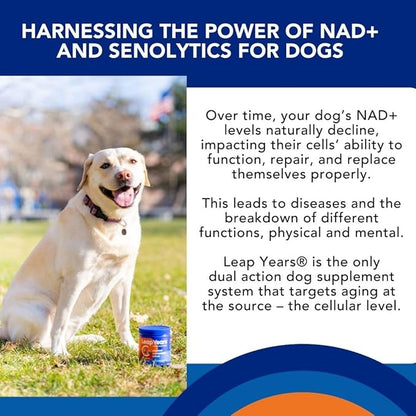 Soft Chew - Dog Supplement for Brain, Heart & Muscle Health, Supports Longevity, Veterinarian-Formulated with NAD+ & Senolytic, Patent-Pending Formula, 31 Chews