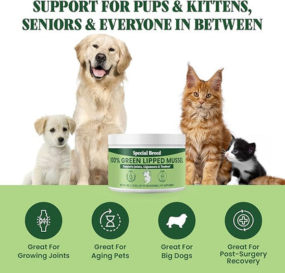 Green Lipped Mussel Powder for Dogs & Cats - 100% New Zealand Green Lipped Mussels - Natural Hip & Joint Supplement for Joints, Tendons, Ligaments, Muscles - 50 Grams - Up to 166 Servings