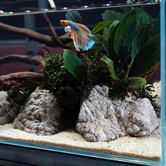 SubstrateSource Natural Stone for Aquarium, Terrarium, Paludarium, Reptile Enclosures - Set of Decorative Rocks for Landcapes, Aquascaping, Fish Tank Decor (Elephant Skin Stone, 5 Pounds, 2-5)