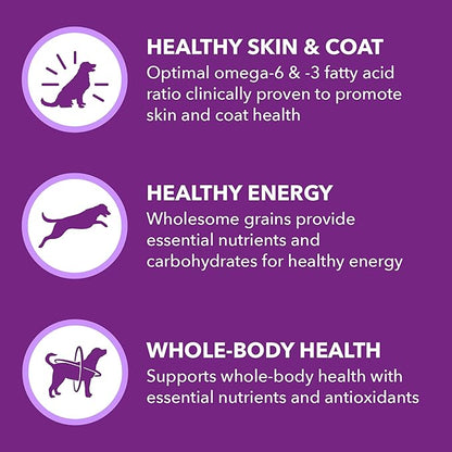 IAMS Advanced Health Skin & Coat Adult Dry Dog Food Chicken and Salmon Recipe, 27 lb. Bag