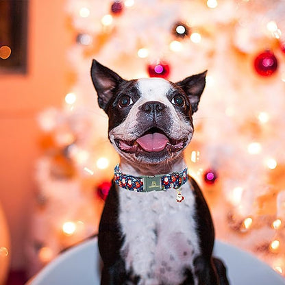 Lionheart glory Christmas Dog Collar Santa Print Collars Soft Durable Adjustable Dog Collars for X-Small Dogs Pet Gift Female or Male Puppy Dog Collar Fall Collar Dog