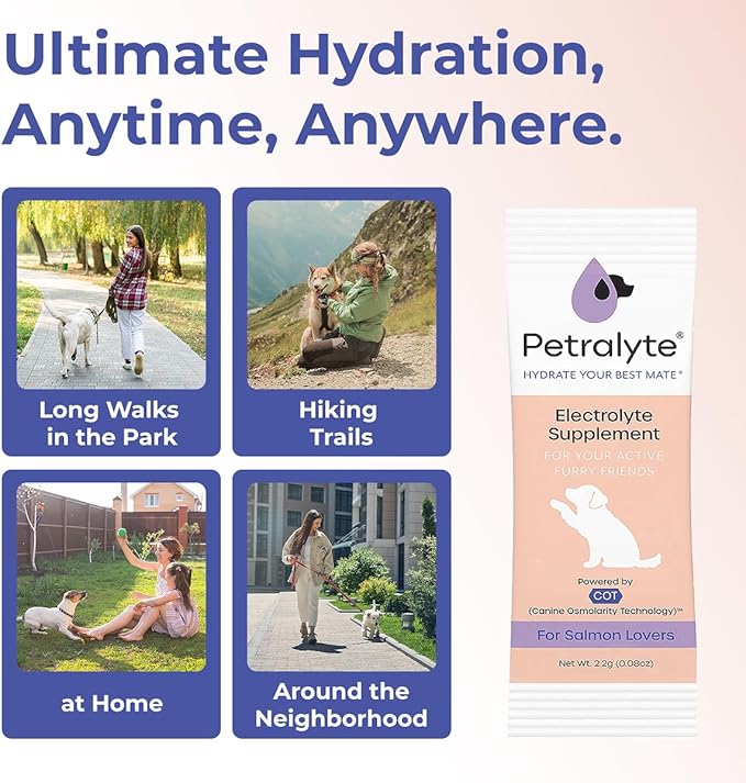 Dog Electrolytes and Joint Supplement | Glucosamine, Chondroitin & MSM for Inflammation and Mobility Support | Electrolytes for Dogs with Prebiotics | Salmon Lovers | 16 Packets