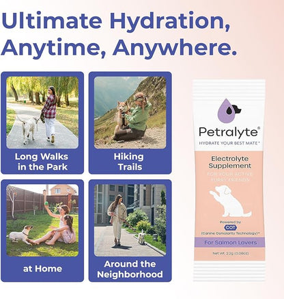 Dog Electrolytes and Joint Supplement | Glucosamine, Chondroitin & MSM for Inflammation and Mobility Support | Electrolytes for Dogs with Prebiotics | Salmon Lovers | 16 Packets