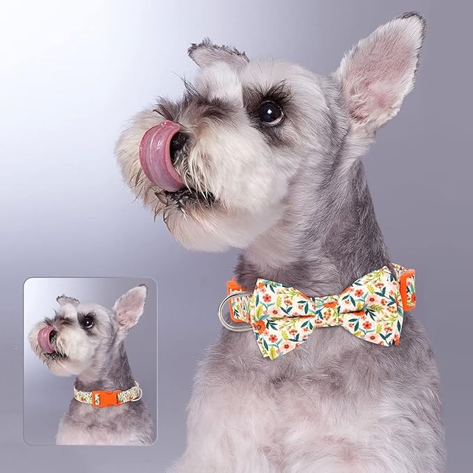Didog Floral Dog Collar with Bow, Cute Girl Dog Collars with Detachable Bowtie, Soft & Comfy Spring Summer Dog Collar for Small Medium Large Dogs Gift Holiday, Orange, L
