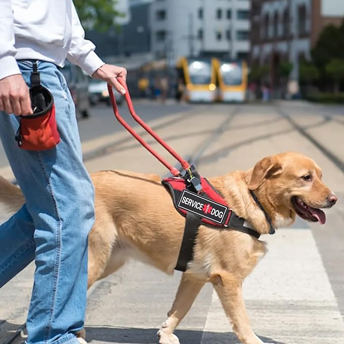 2Pcs Service Dog Patches for Harness, Removable Emotional Support Dog Vest Patches, Black in Training Dog Patch, Working Dog Applique Tactical Dog Equipment for Collar Leash (4_2'')