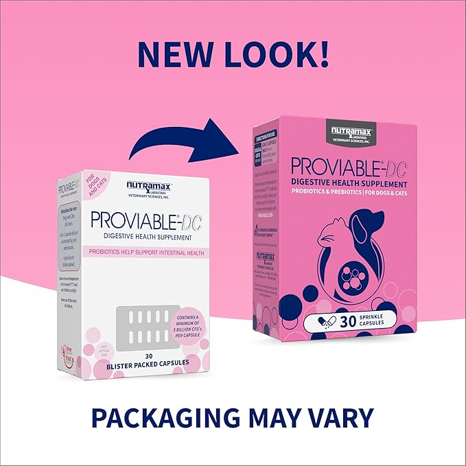 Nutramax Proviable Probiotics for Dogs and Cats, Daily Digestive Health Supplement with Multiple Strains of Bacteria, Cat and Dog Probiotics Plus Prebiotics, 30 Capsules