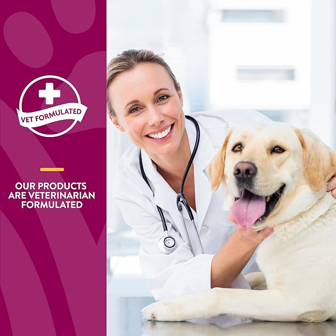 NaturVet  ArthriSoothe-GOLD  Level 3 Advanced Joint Care | Clinically Tested to Support Connective Tissue, Cartilage Health & Joint Movement | Enhanced with Glucosamine, MSM, Chondroitin & Green Lipped Mussel | For Dogs & Cats | 90 Chewable Tablets