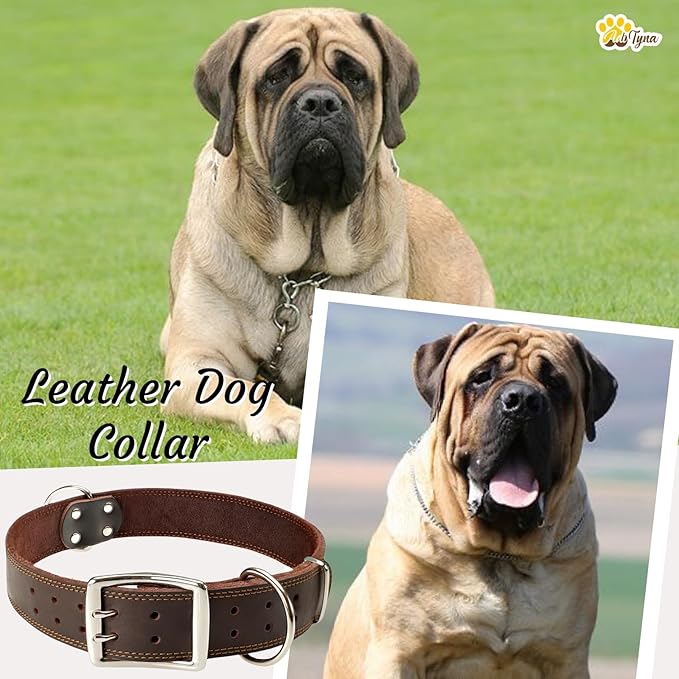 ADITYNA Big Leather Dog Collar - XXL Dog Collar for Giant Breeds Such as Mastiff (Giant: Fit 30" - 36" Neck, Brown)