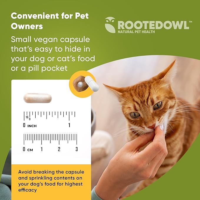 Rooted Owl Joint and Muscle Support for Cats and Small Dogs (Under 30 Lbs) - Supplement with UC-II Type II Collagen and L-Carnitine - 30 Count