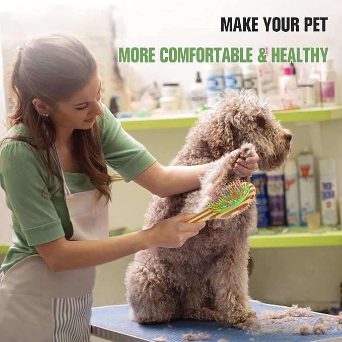 MAXIMILIAN Dog Brush in Mint Green for Dog Grooming and Detangling, Easy to Hold Ergonomic Handle, Soft Plastic Teeth and Bristle Brush, Best Pet Brush for Curly-haired Dogs, Eco Friendly