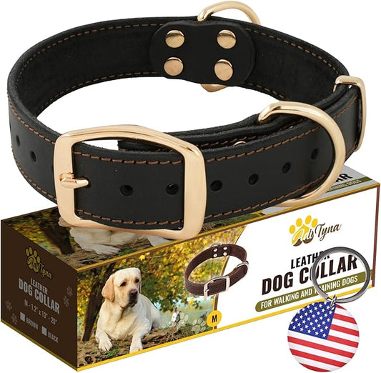 ADITYNA Heavy Duty Leather Dog Collar for Medium Dogs - Soft and Strong Leather Dog Collar for Medium Dog Breeds (Black - Gold Colored Buckle, Medium: Fit 13" - 20" Neck)