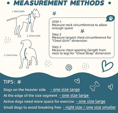 Dog Harness and Leash Set for Medium Dogs Soft Natural Bamboo Fabric, No Pull Dog Harness, Step-in Adjustable Dog Leash, Dog Harness and Leash Set for Medium Dogs-Teal Blue