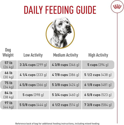 Royal Canin Breed Health Nutrition Labrador Retriever Adult Dry Dog Food, 17 lb Bag