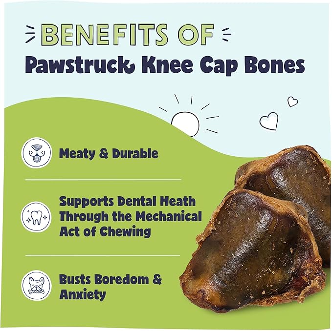 Pawstruck Natural Knee Cap Dog Bones - Treats for Aggressive Chewers, Low Fat and High Protein Chews, Beef Flavor, Long Lasting and Calming Rawhide Alternatives - 10 Pack - Packaging May Vary