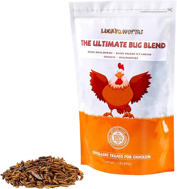 Dried Insect Trail Mix for Chickens - High Protein 42% & Calcium 1.1% for Egg Laying - Natural Treat for Birds, Reptiles, Ducks, Hedgehogs - 1 Lbs Resealable Bag