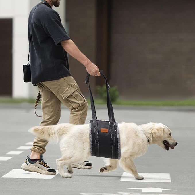 LOOBANI Portable Dog Sling for Back Legs, Hip Support Harness to Help Lift Dogs Rear for Canine Aid and Old K9 Cruciate Ligament Rehabilitation