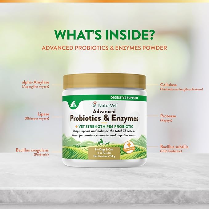 NaturVet  Advanced Probiotics & Enzymes - Plus Vet Strength PB6 Probiotic | Supports and Balances Pets with Sensitive Stomachs & Digestive Issues | for Dogs & Cats (4 oz)