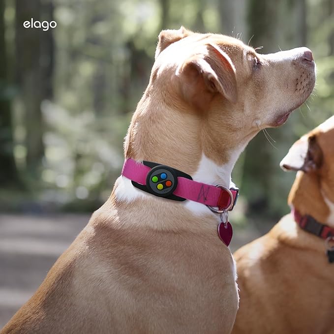 elago Pet Collar W5 Case Compatible with Apple AirTag - Drop Protection Keychain, Cute Design (Track Dogs, Keys, Backpacks, Purses) Tracking Device Not Included (Black)