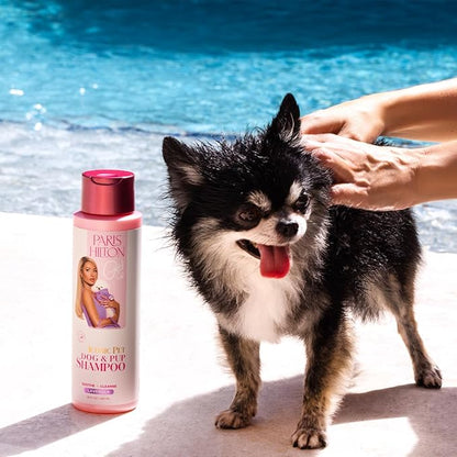 Paris Hilton Dog Shampoo - Gentle Calming Lavender Scent, Sulfate-Free Vegan & Hypoallergenic for All Dog Breeds, with Oatmeal & Aloe for Healthy Coats & Salon-Quality Grooming, 16oz (480ml)