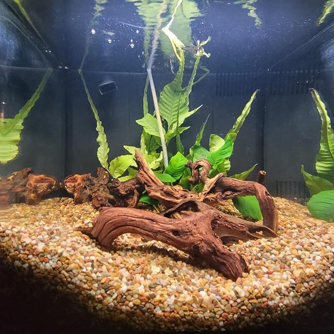 3 Pcs Natural Driftwood for Aquarium, Aquarium Driftwood Freshwater 8-10 Inch, Assorted Size Mopani Wood, Twisted Branches for Fishtank Accessories, Reptile Terrariums Decorations