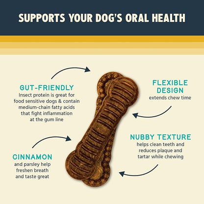 Jiminy's Dental Chews for Dogs, Cinnamon Flavor, Scientifically Proven to Improve Oral Health, Dental Bones Clean Teeth, Fight Bad Breath, and Removes Plaque and Tartar, Small, 20ct (Pack of 1)