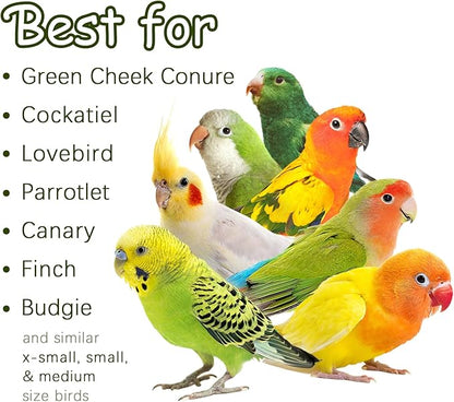 5-Pack Natural Flower Bird Toys – Foraging & Chewing Toys for Parakeets, Cockatiels, Conures & Small Birds – No Plastic, All-Natural Materials